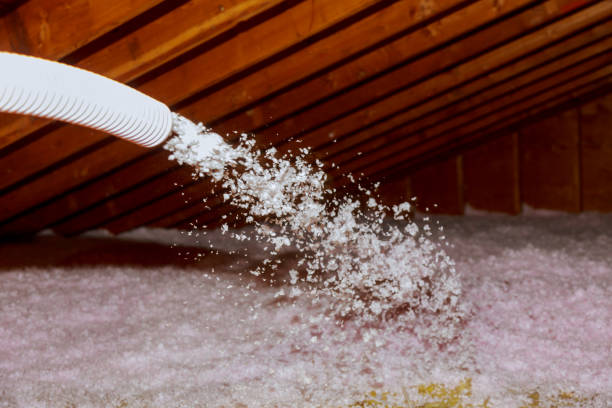 Best Insulation Repair Services  in Fort Recovery, OH
