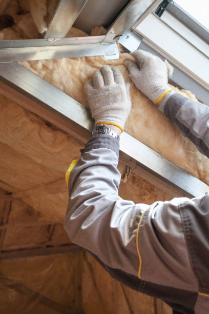 Best Attic Insulation Installation  in Fort Recovery, OH