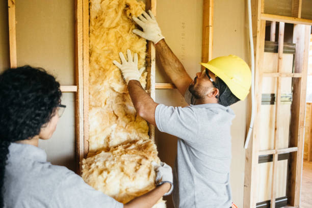 Best Insulation Contractors for Homes  in Fort Recovery, OH