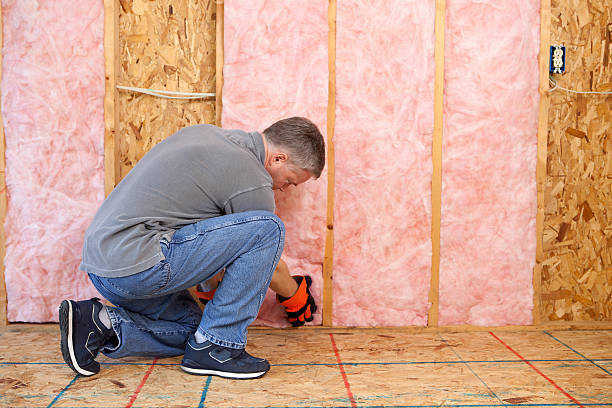 Best Residential Insulation Services  in Fort Recovery, OH