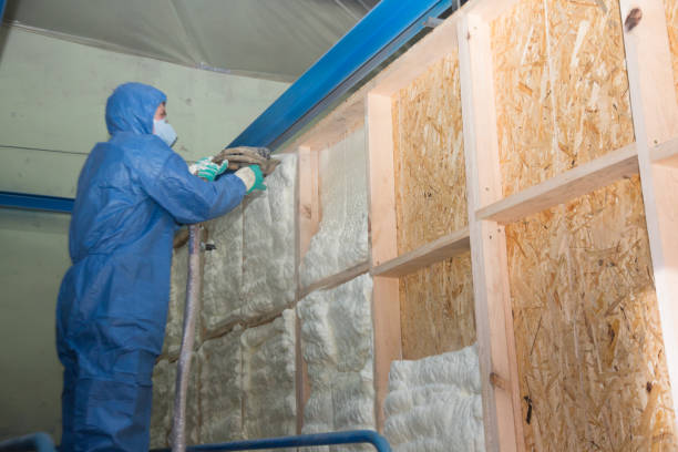 Best Cellulose Insulation  in Fort Recovery, OH