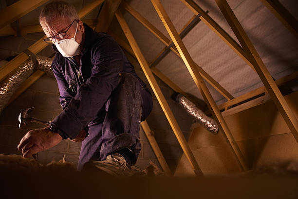 Best Insulation for New Construction  in Fort Recovery, OH